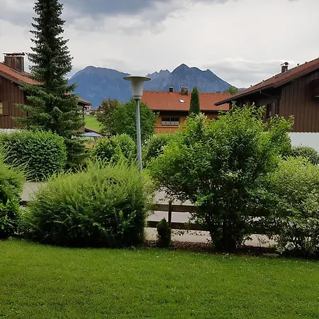Sonnenblume Obermaiselstein
